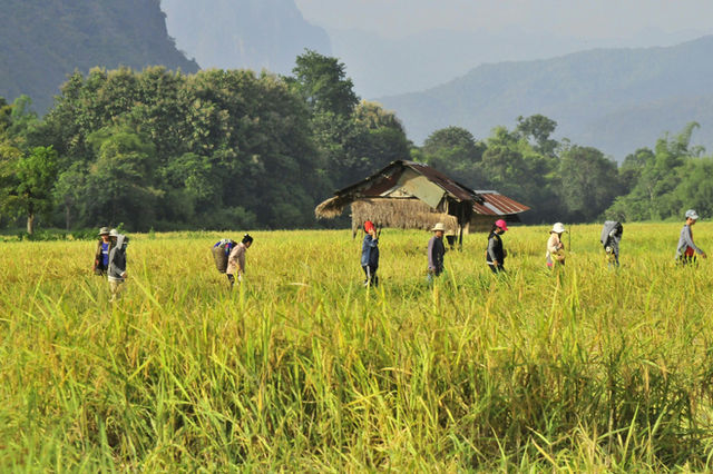 These people were returning home after a hard day's work in the field.