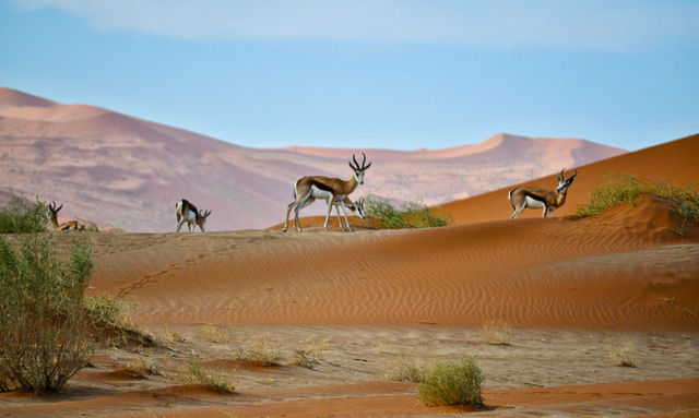 Sossusvlei, Hardap, Namibia