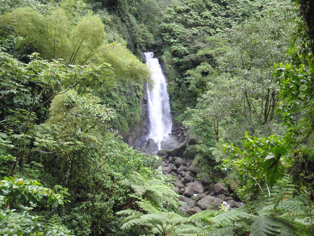 Dominica