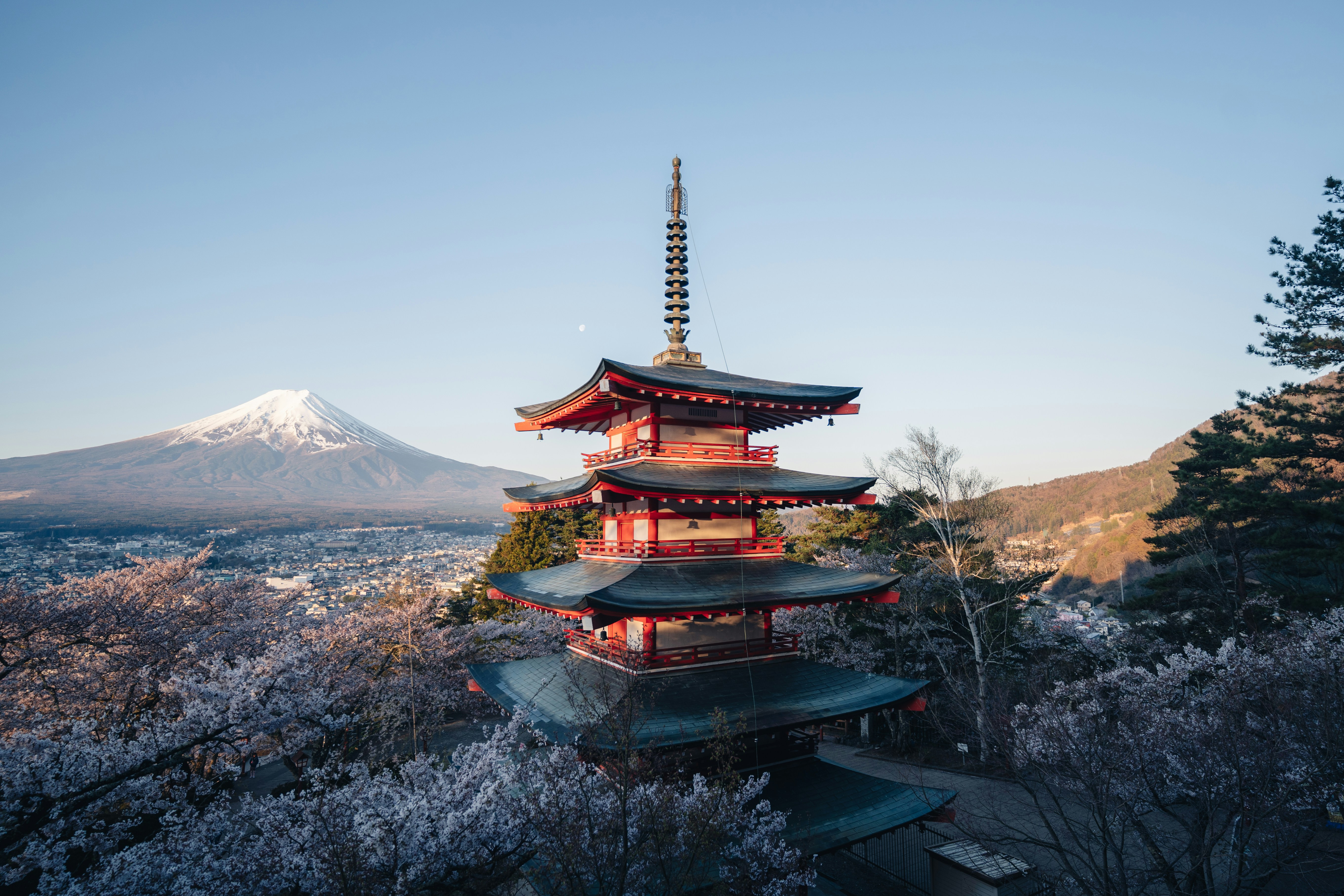 Japan — image 6
