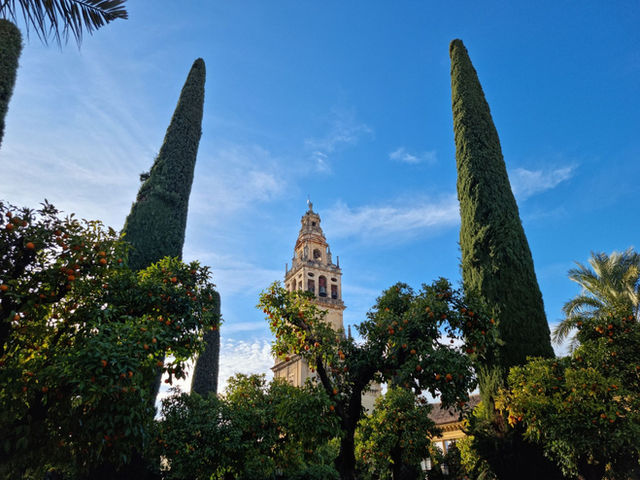 Tower of the Mosque-Cathedral of Córdoba framed by lush greenery and blue sky, AN, Spain.