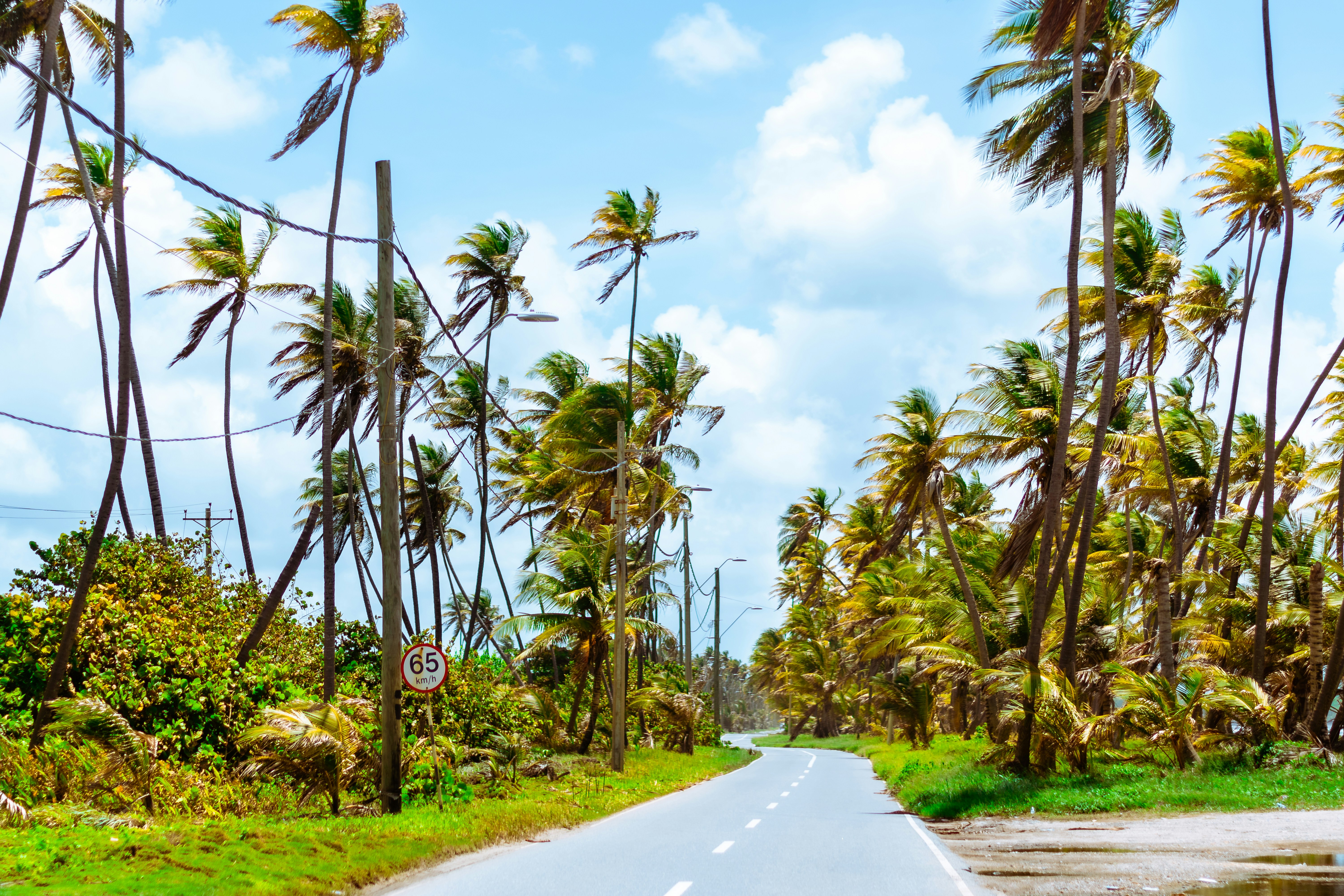 Trinidad and Tobago — image 4
