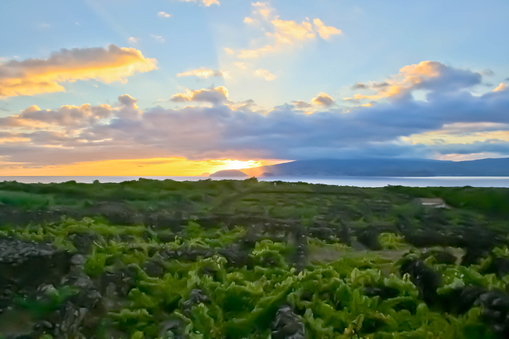Azores — photo 20