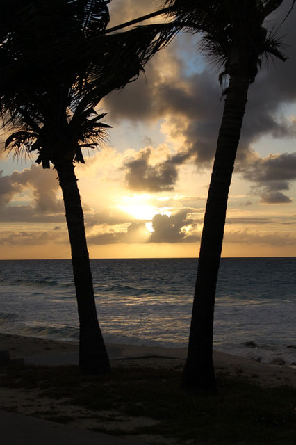 Bimini, The Bahamas