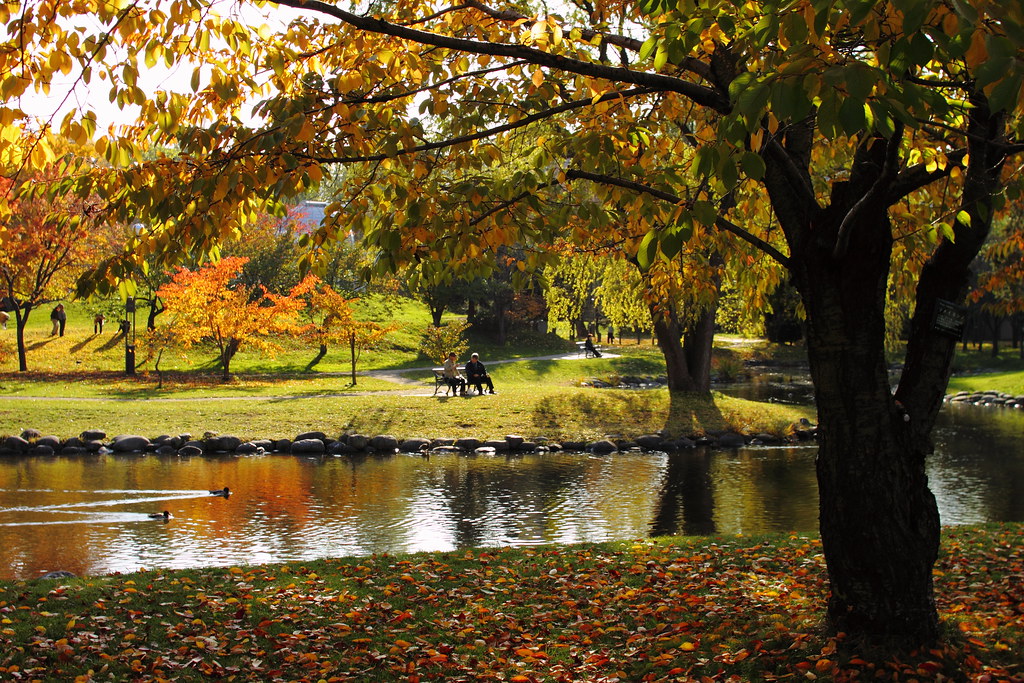 Hokkaido — photo 16