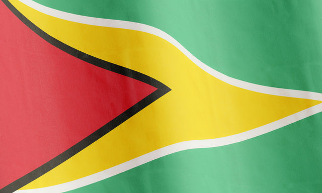 The flag of Guyana waving. 3D render.