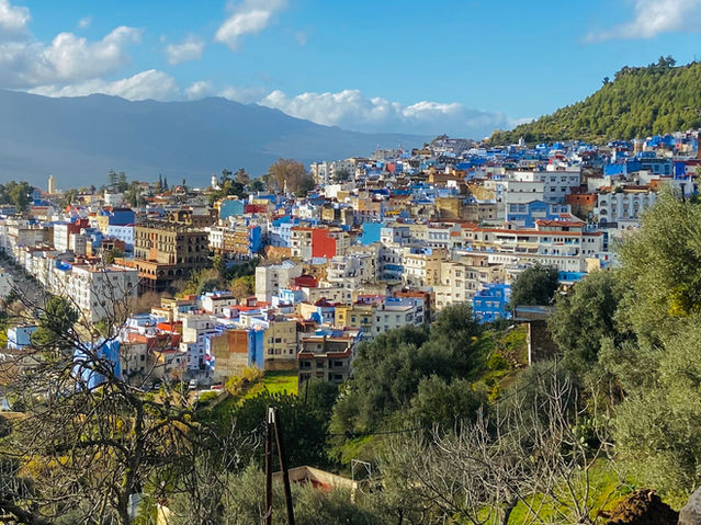Explore the stunning blue-hued architecture of Chefchaouen, Morocco's charming hillside town.