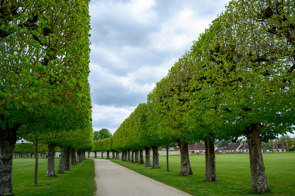Loire Valley — photo 3