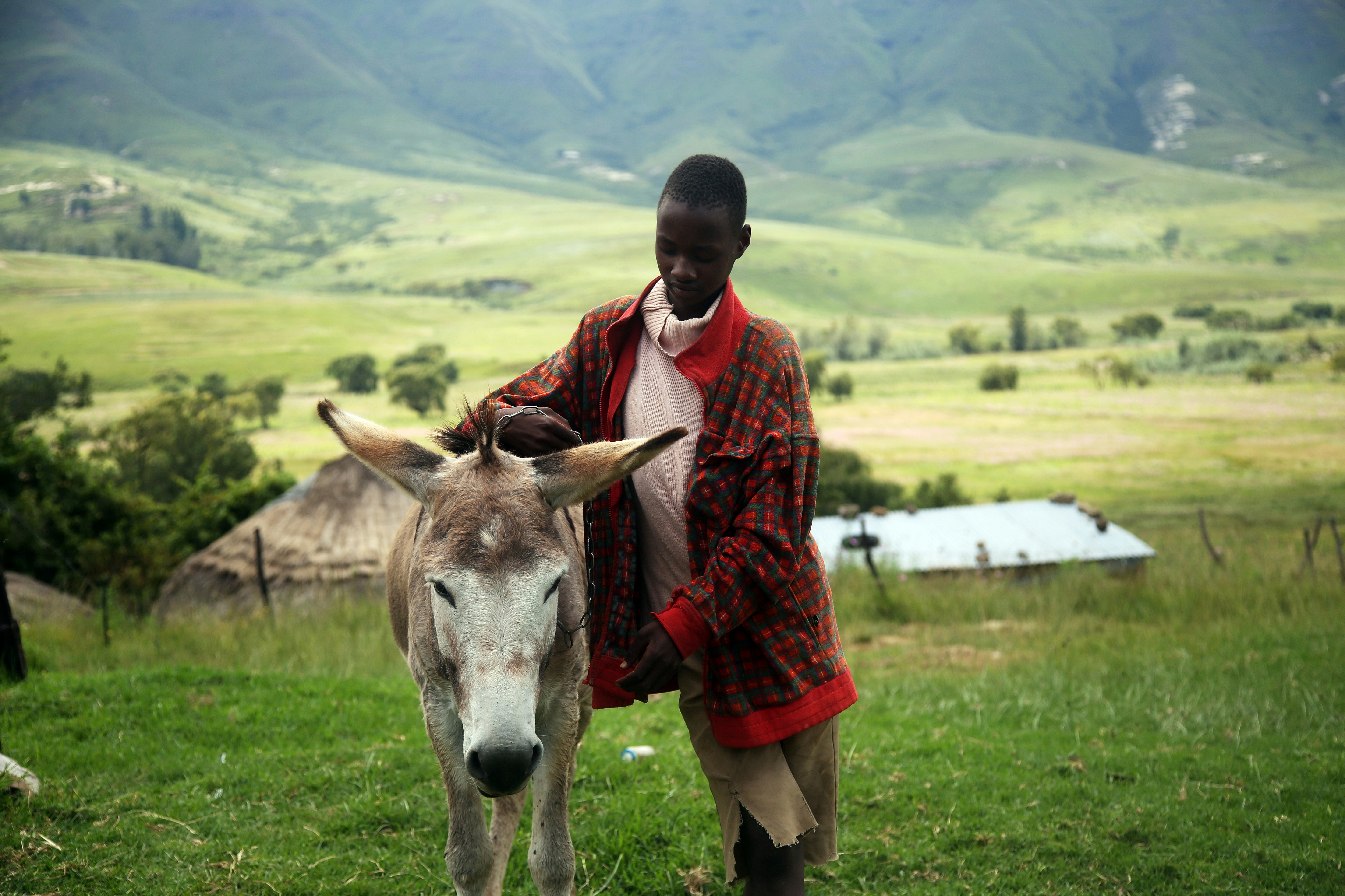 Lesotho — image 3