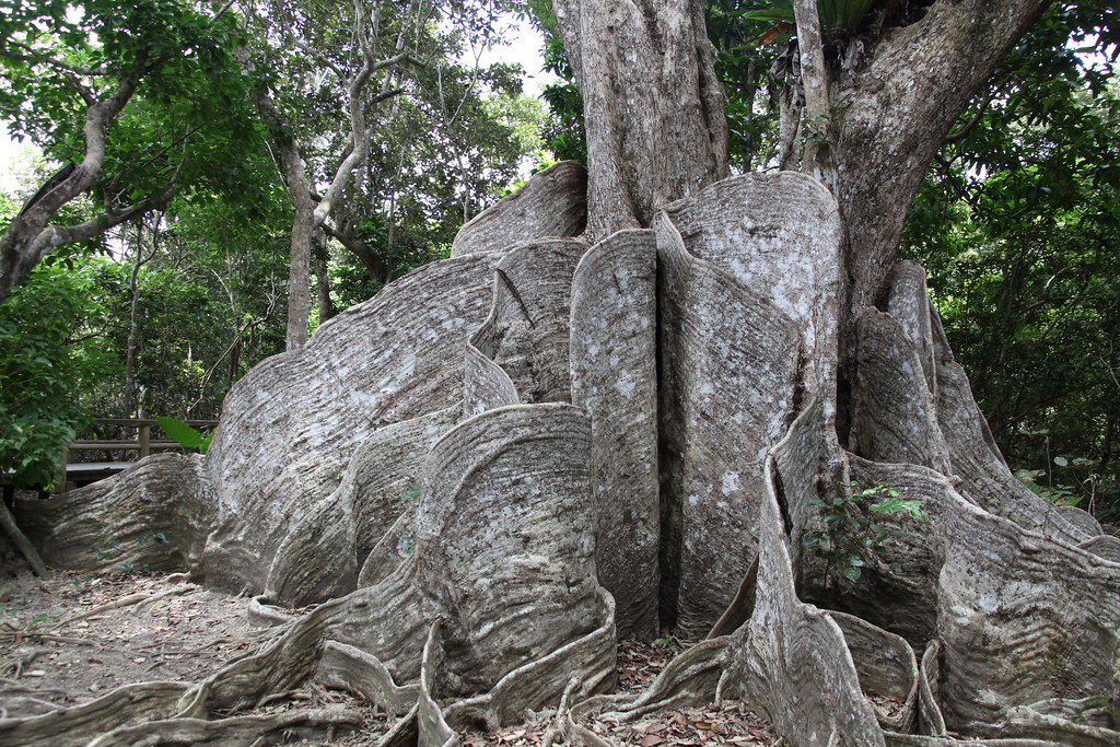 Okinawa — photo 15