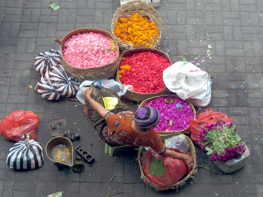 Ubud — photo 5