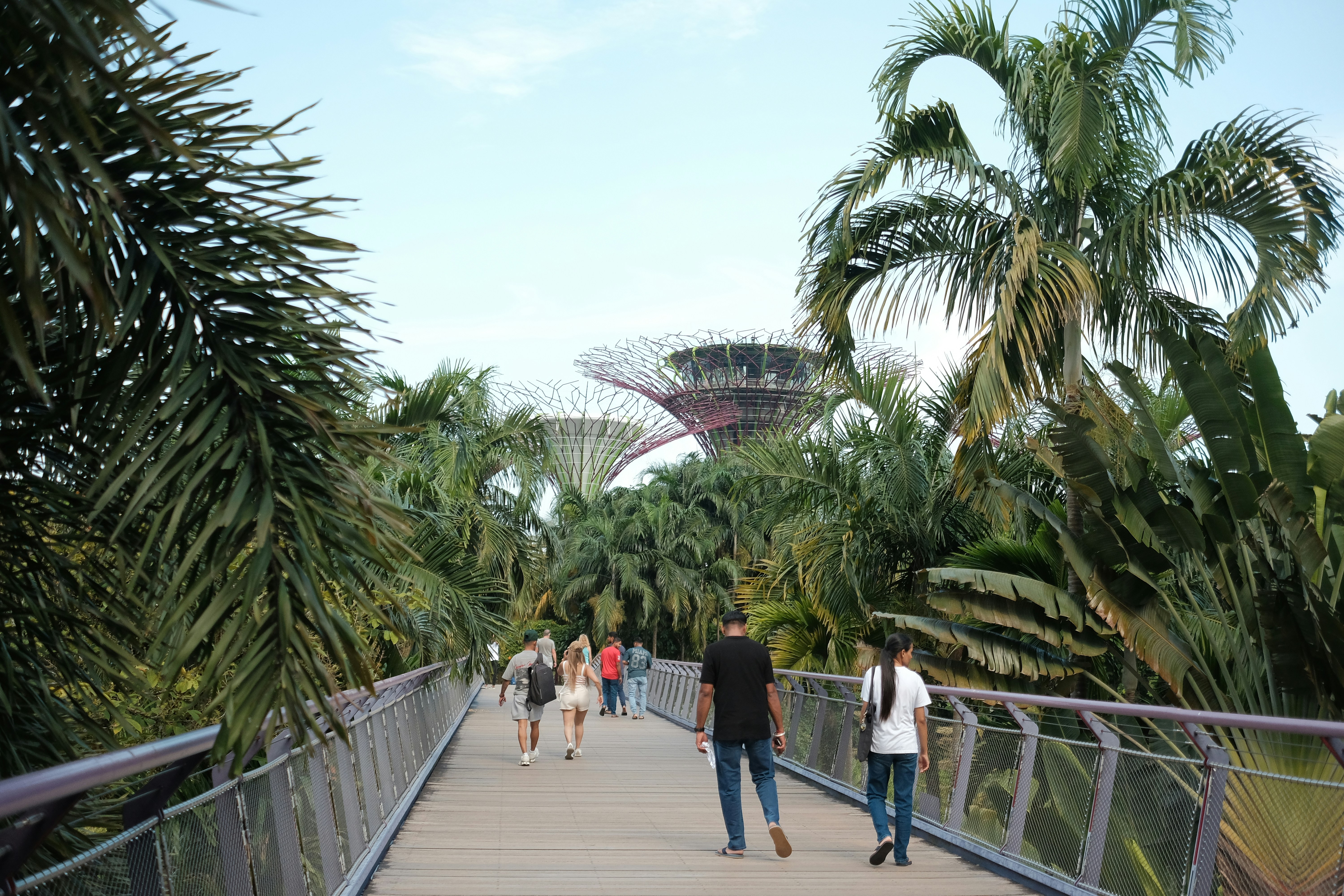 Singapore — image 2