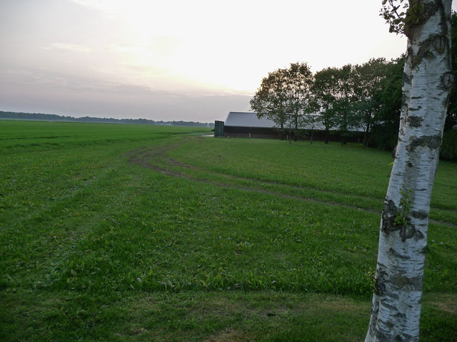 view over the fields (direction Smilde) and large barn in the evening set on Laaghalerveen, landscape Netherlands in photo of Fons Heijnsbroek, May 2012