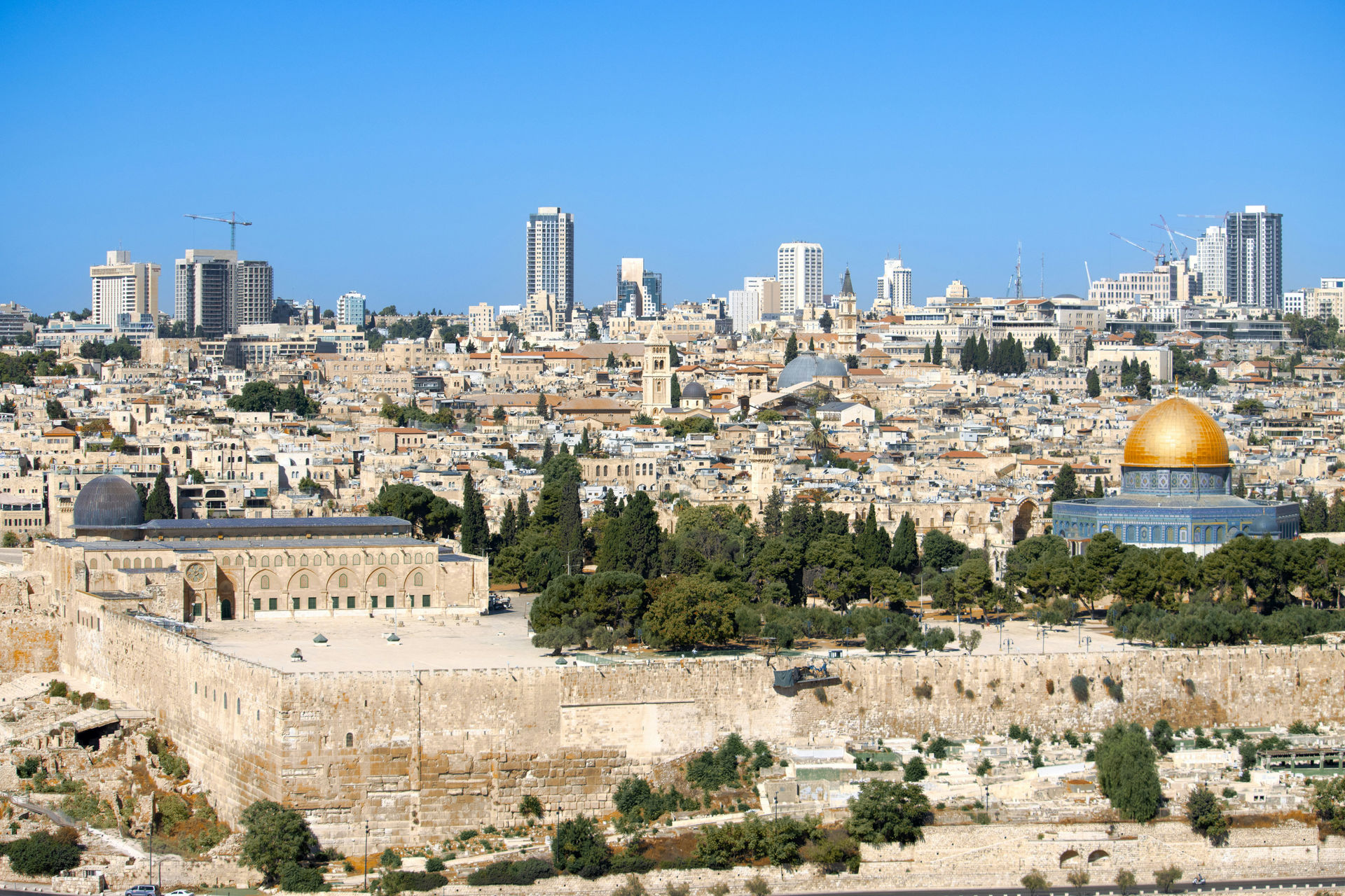 Palestine — hero