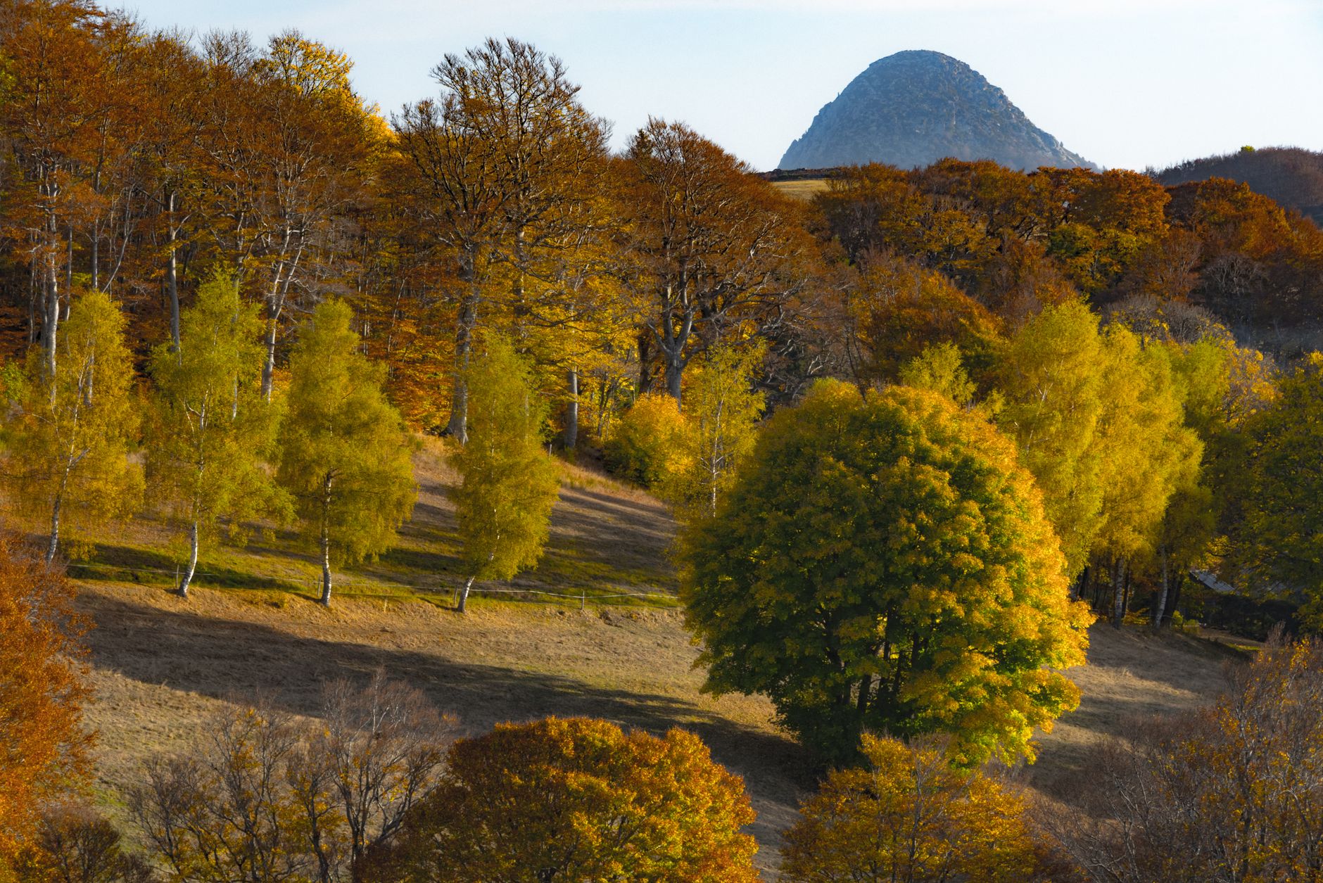 Auvergne-Rhône-Alpes