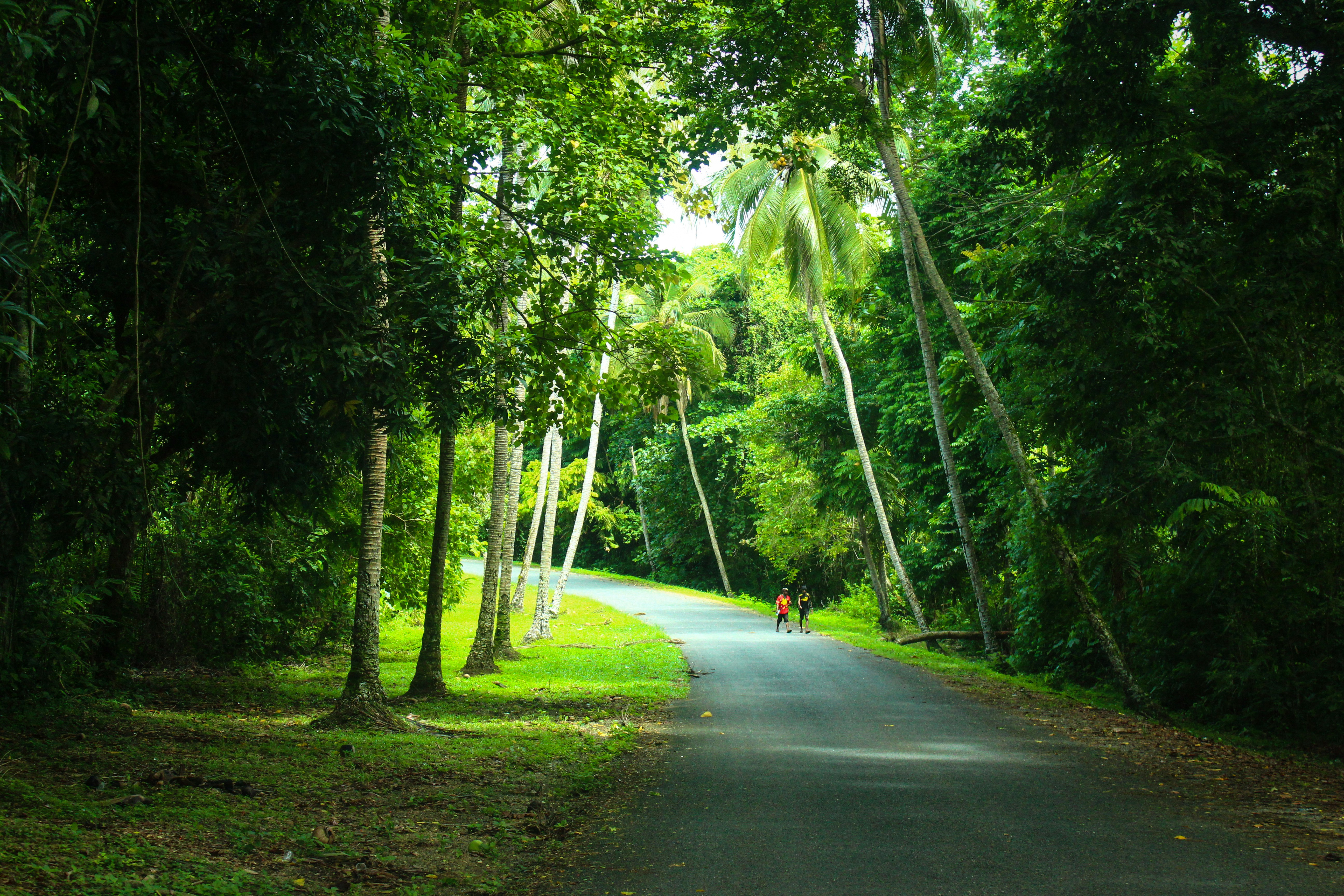 Equatorial Guinea — image 4