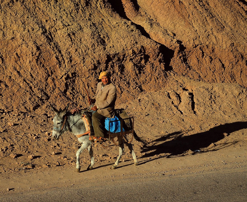 Sahara Desert — photo 15