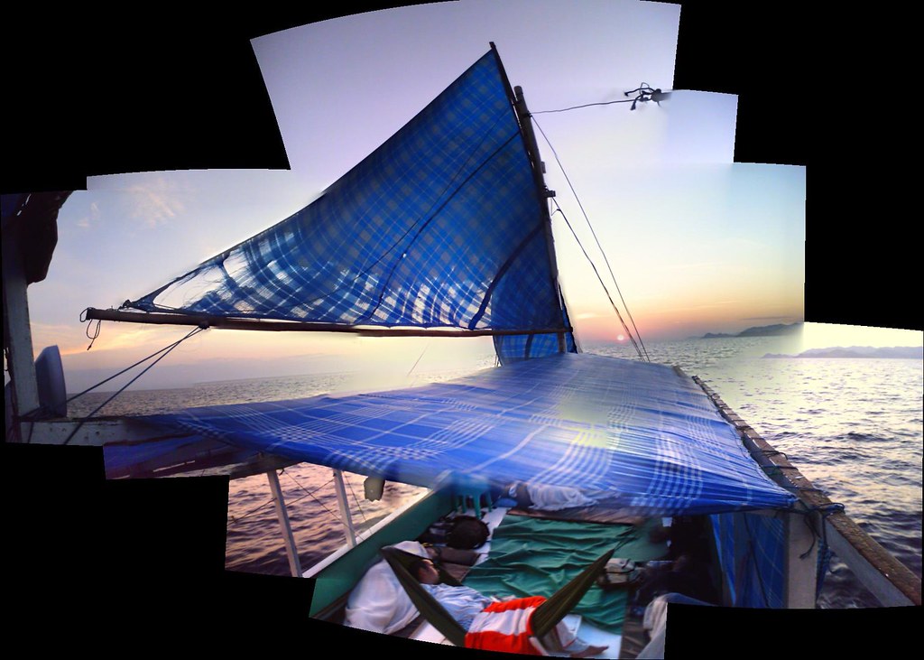 Komodo — photo 8
