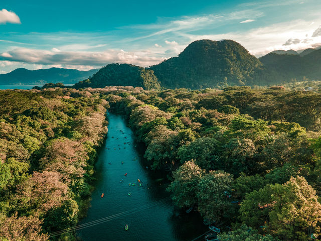 Canal del Kayak
