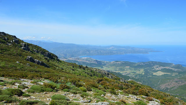 Panoramic view of Bastia's coastline and lush mountains in Corsica, France.