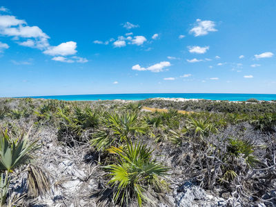Exuma Cays Land & Sea Park, The Exumas