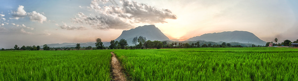 Chiang Mai — photo 13