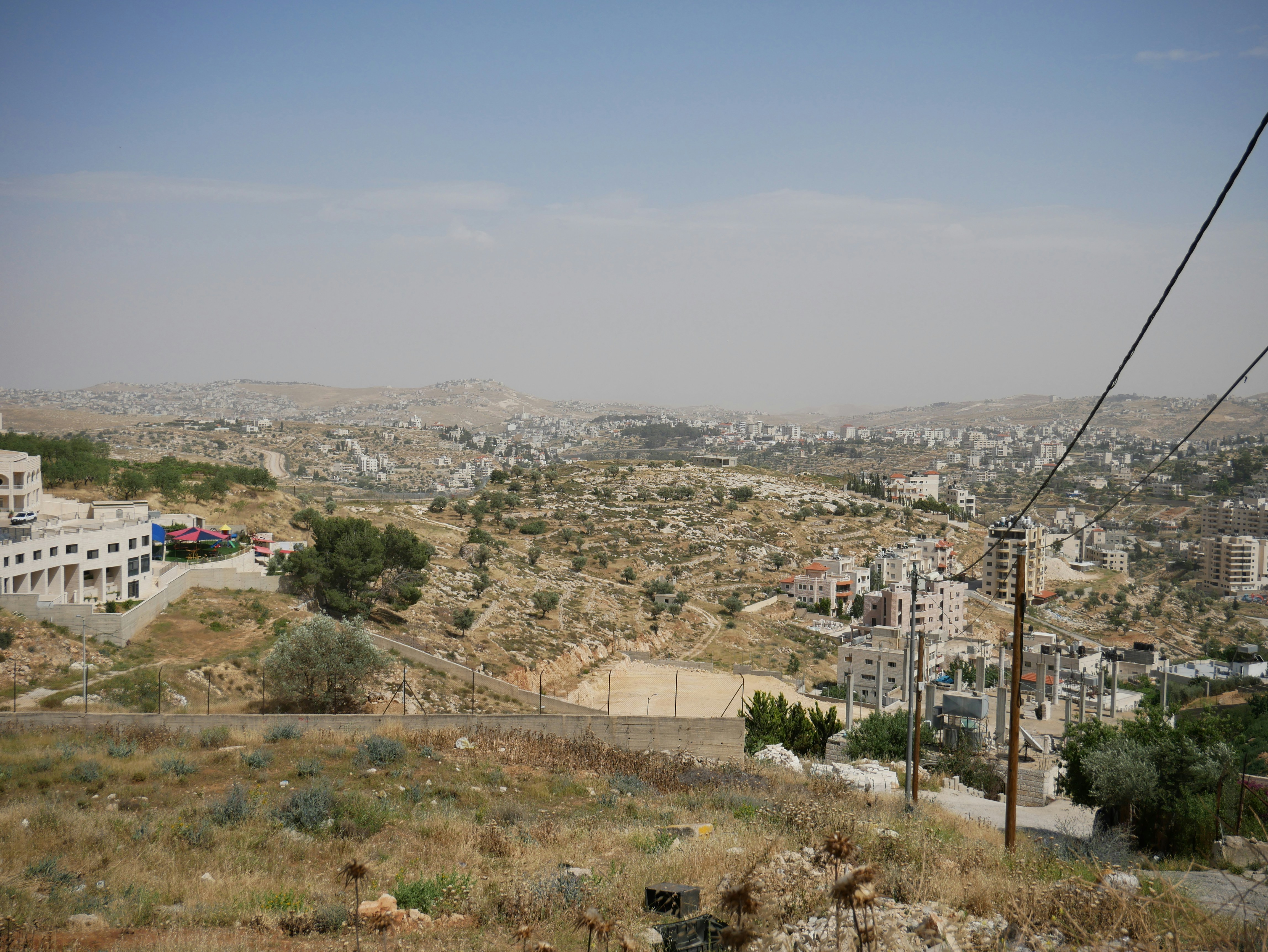 Palestine — image 3