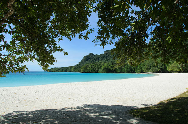 White sand beach with turquoise ocean framed by green trees