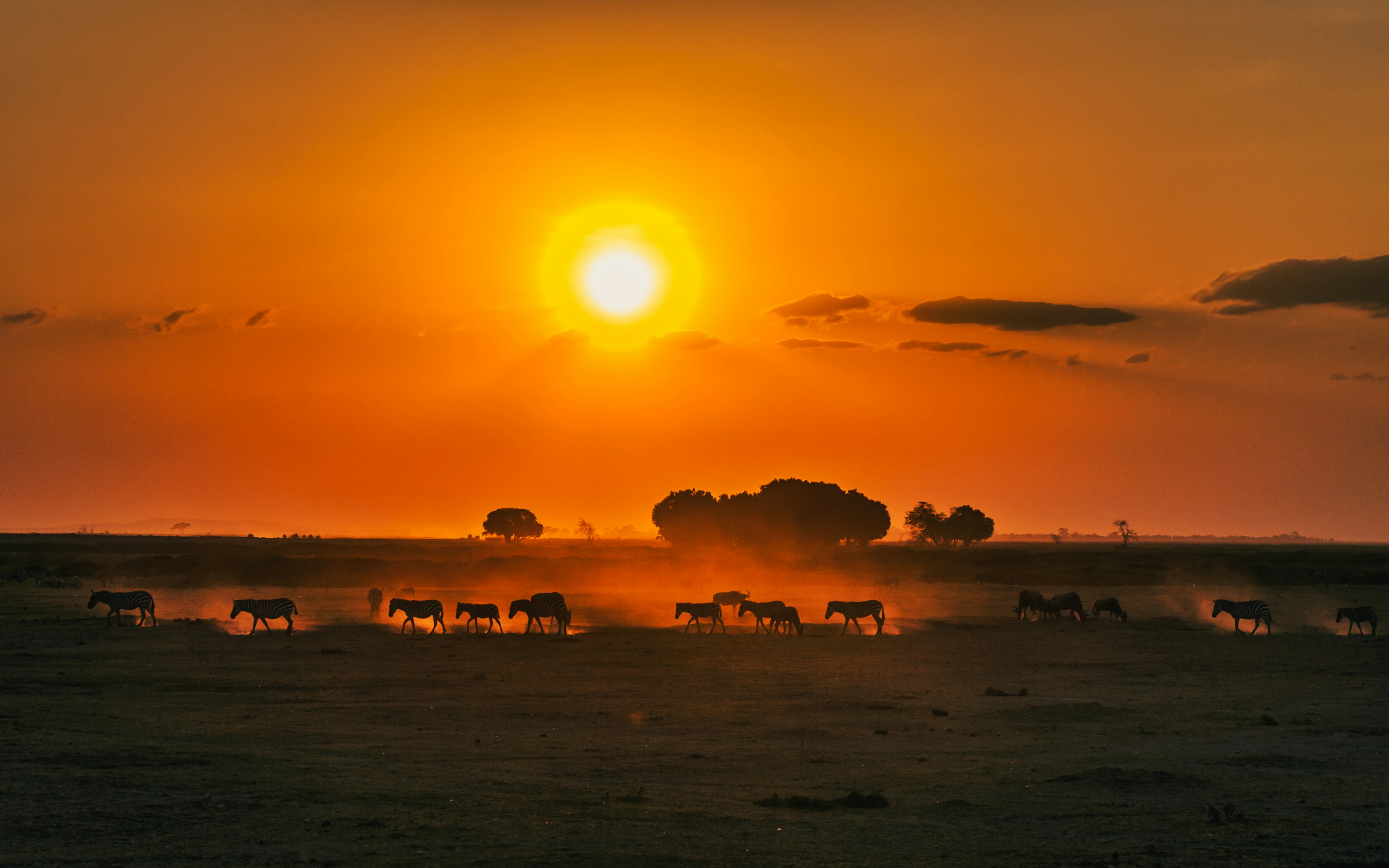 Kenya — image 3