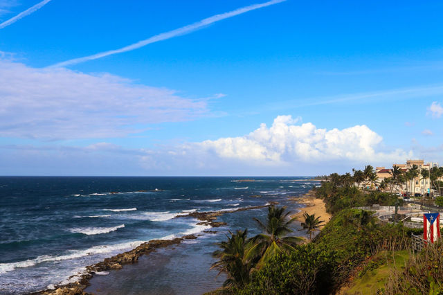 Beautiful view of Puerto Rican coast with palm trees, ocean, and blue sky.