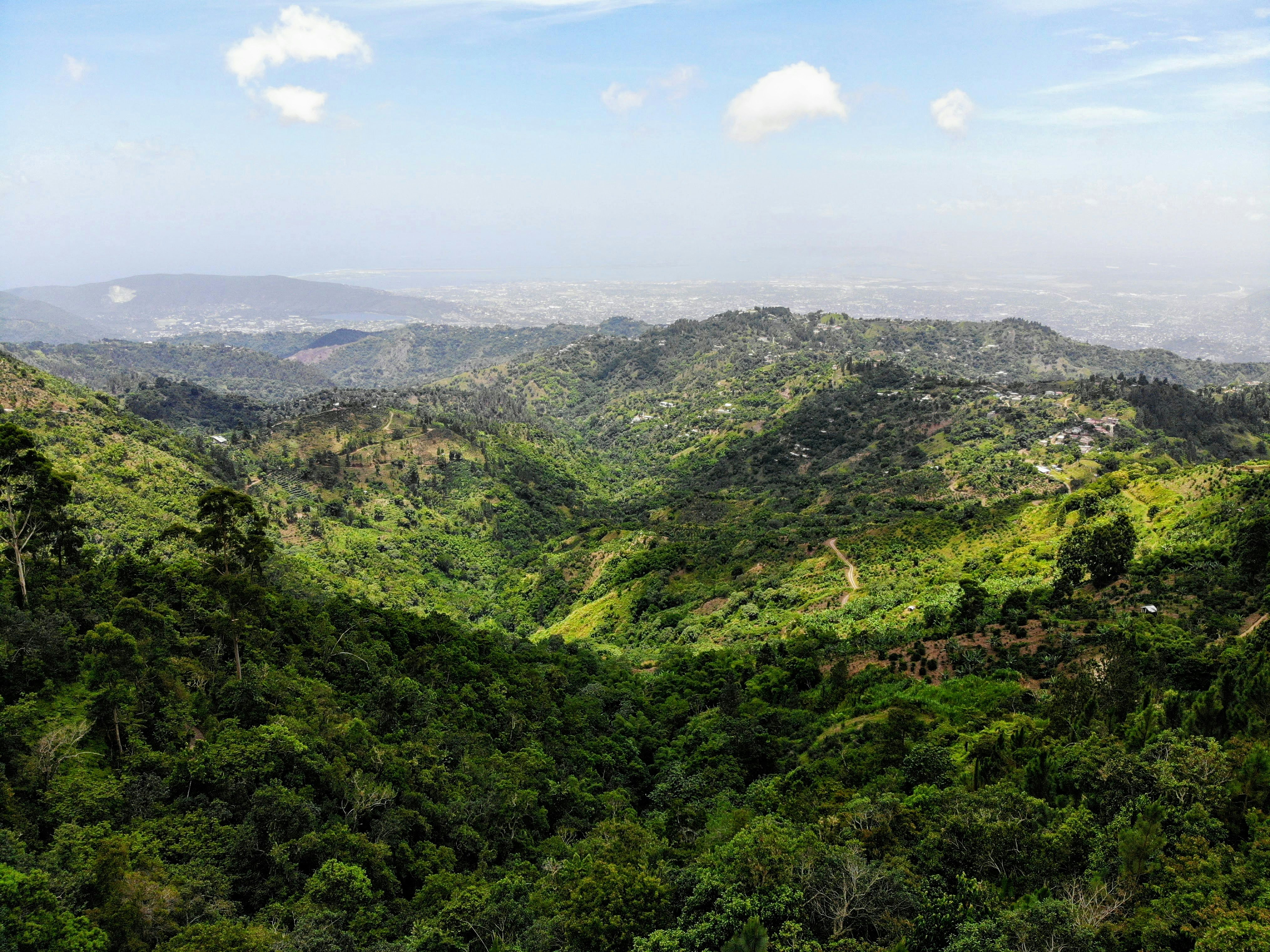 Jamaica — image 4