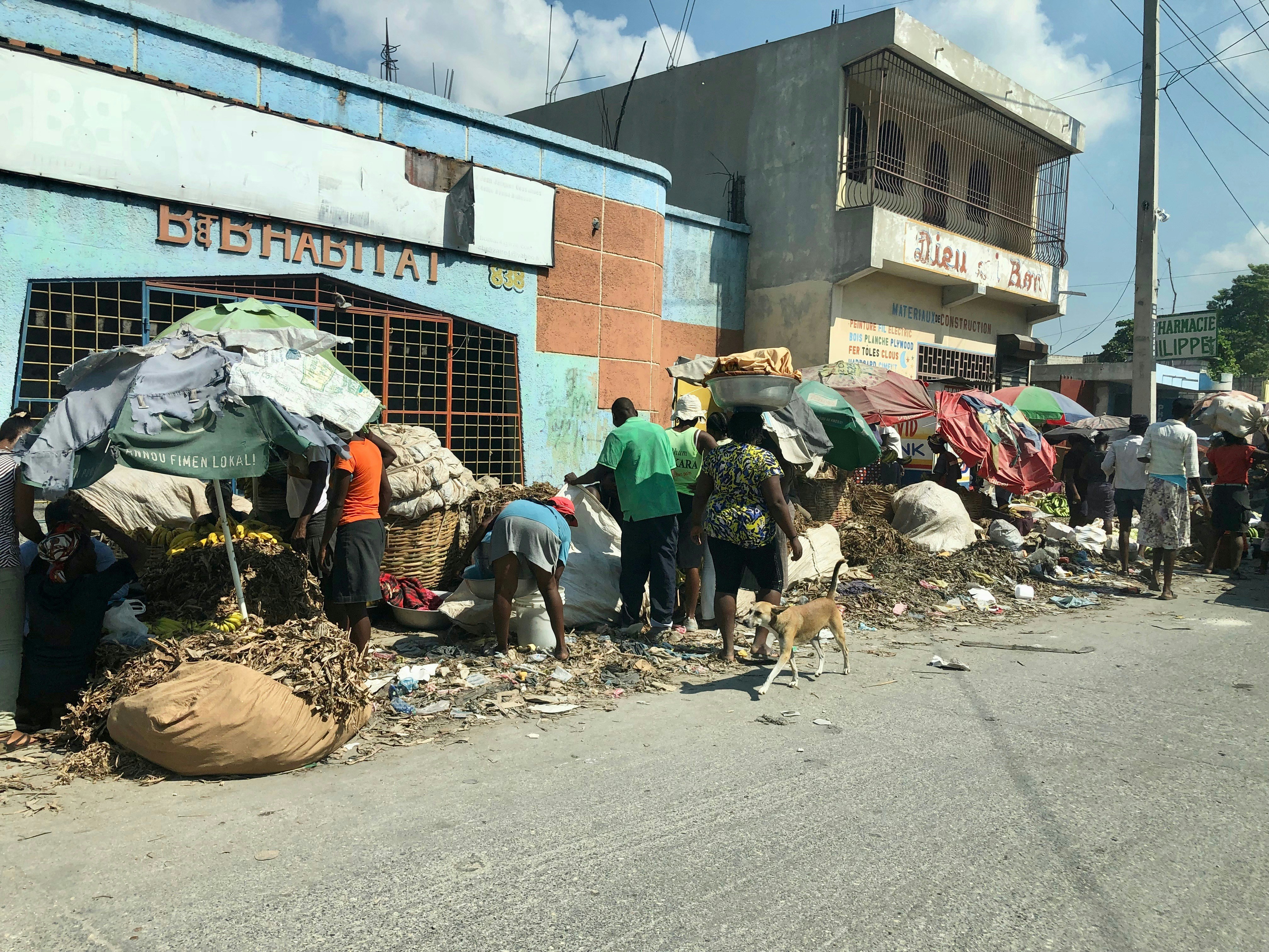 Haiti — image 4