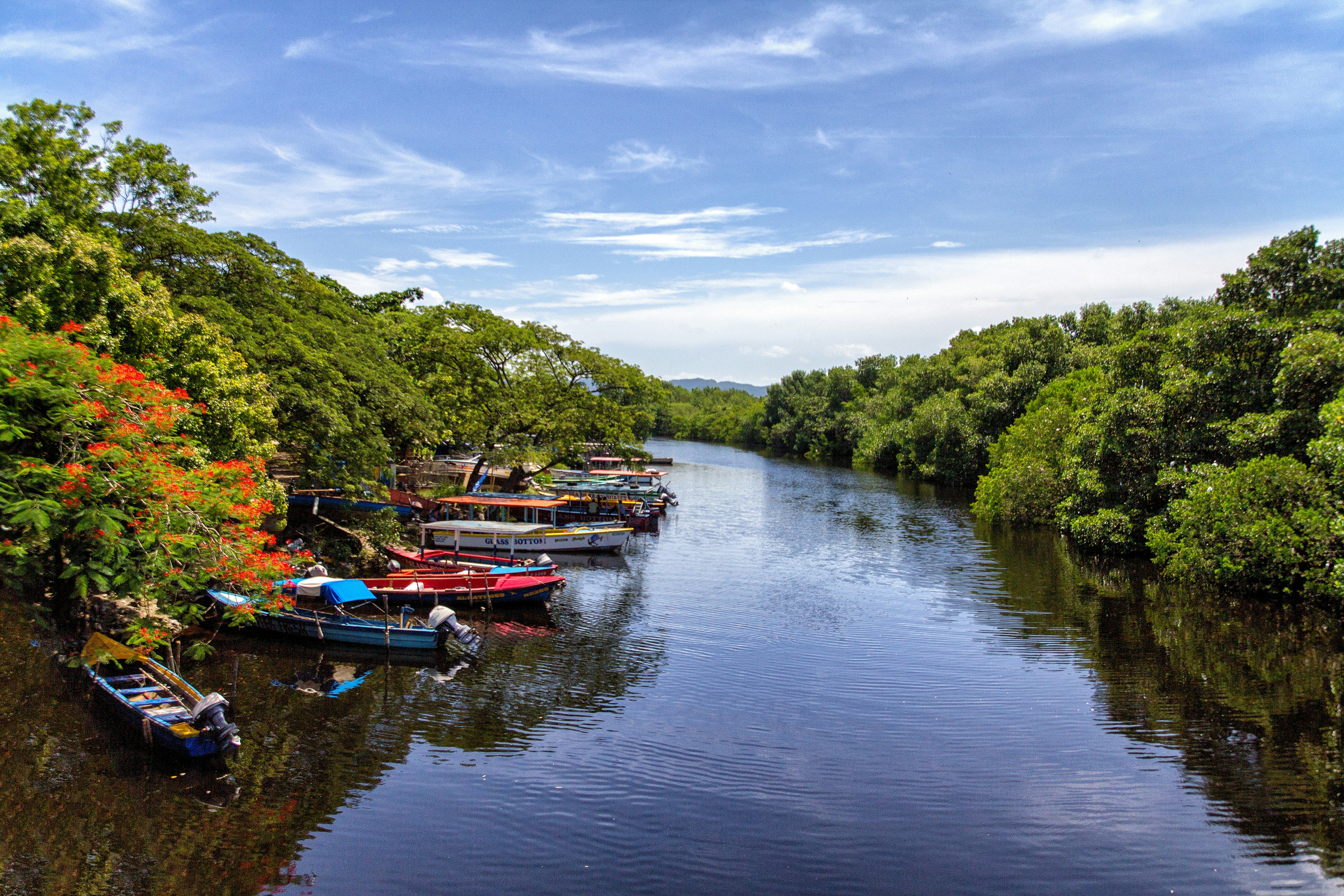 Jamaica — image 5