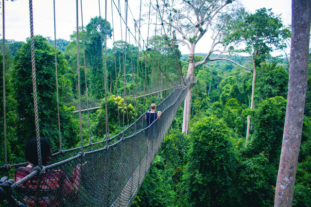 Canopy of Kakum