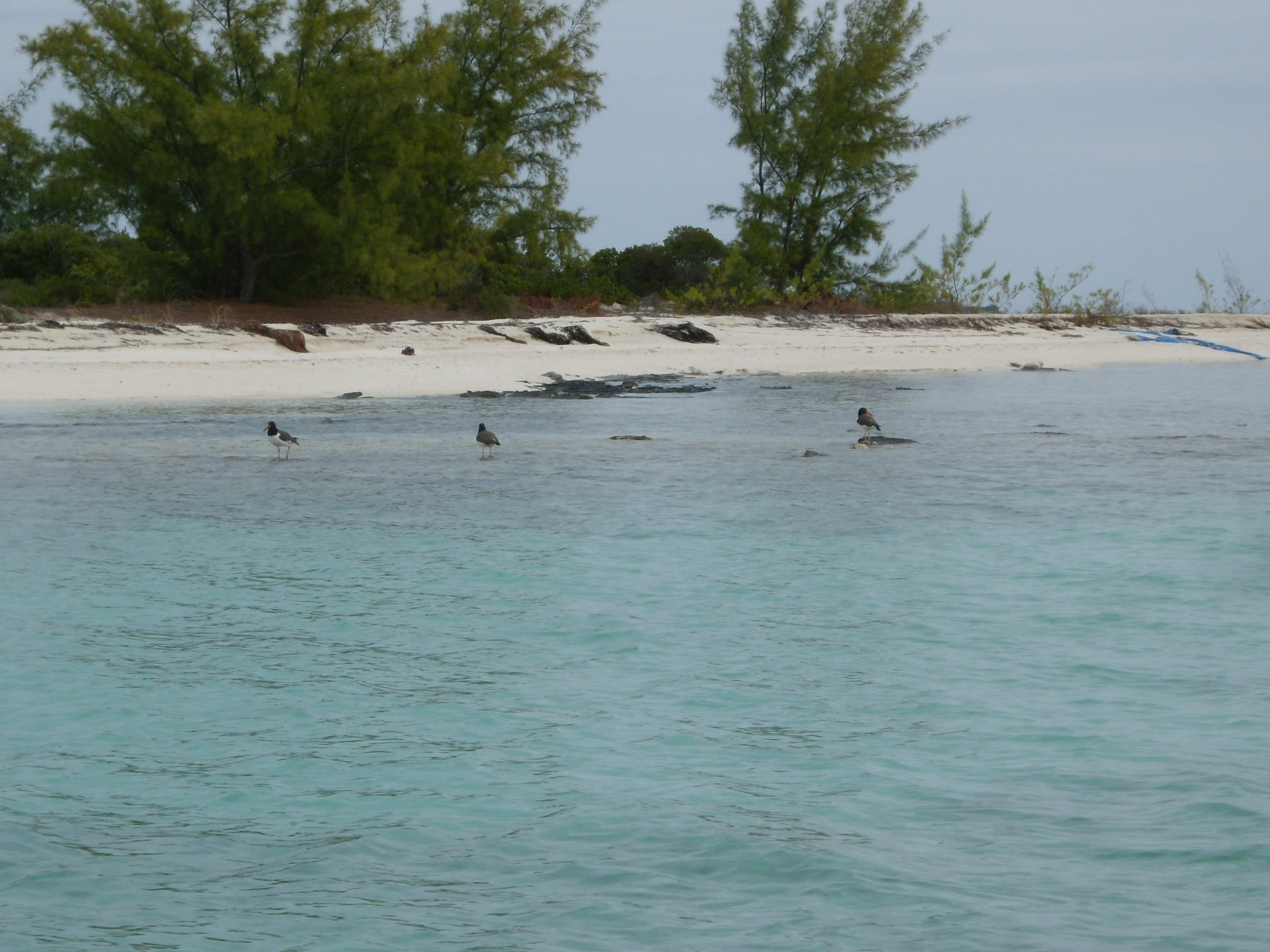 The Berry Islands, The Bahamas