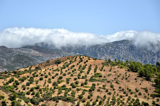 Beautiful view of the rugged landscape and scattered vegetation in Chefchaouen under a clear sky.