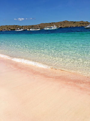 Pink Beach (Pantai Tangsi), Lombok
