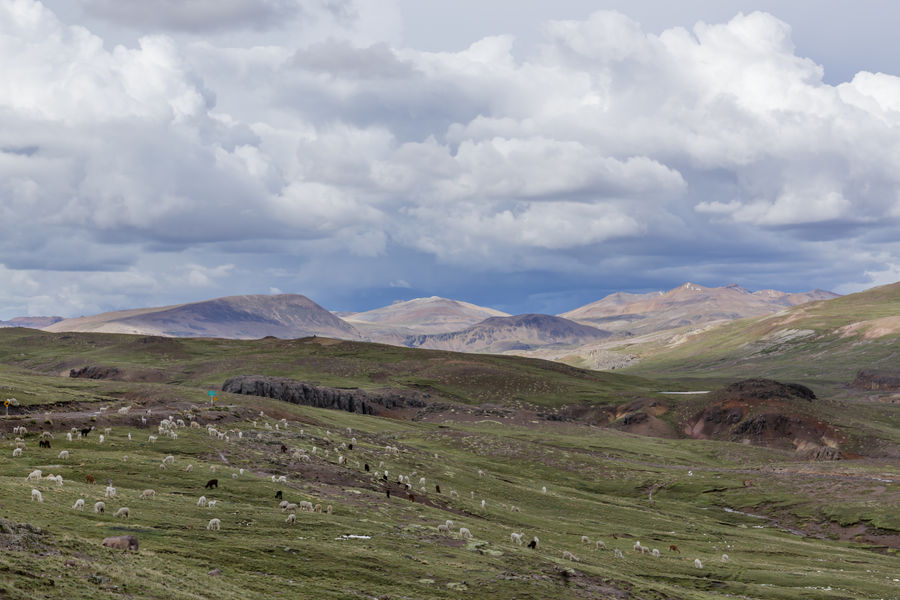 Peru
