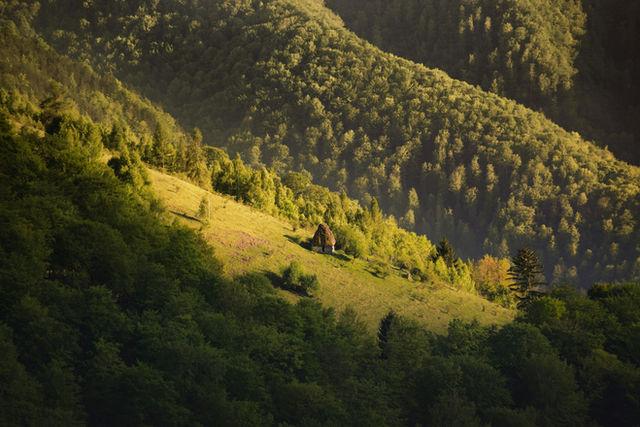 On my way to the mountain Vulcan, I saw from far away, this lonely little forgotten house touched only by the sun. The peaceful view hold me in that place for a few moments. Than I took my camera…