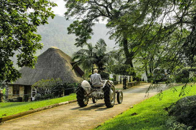 Tranquil rural landscape with a man on a tractor in Mbabane, Eswatini.