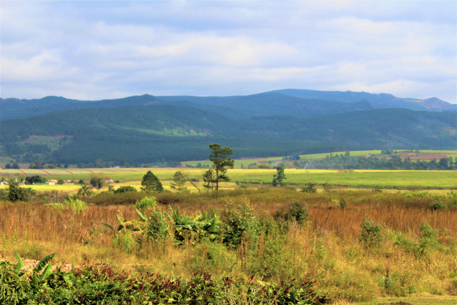 a grassy field with mountains in the background