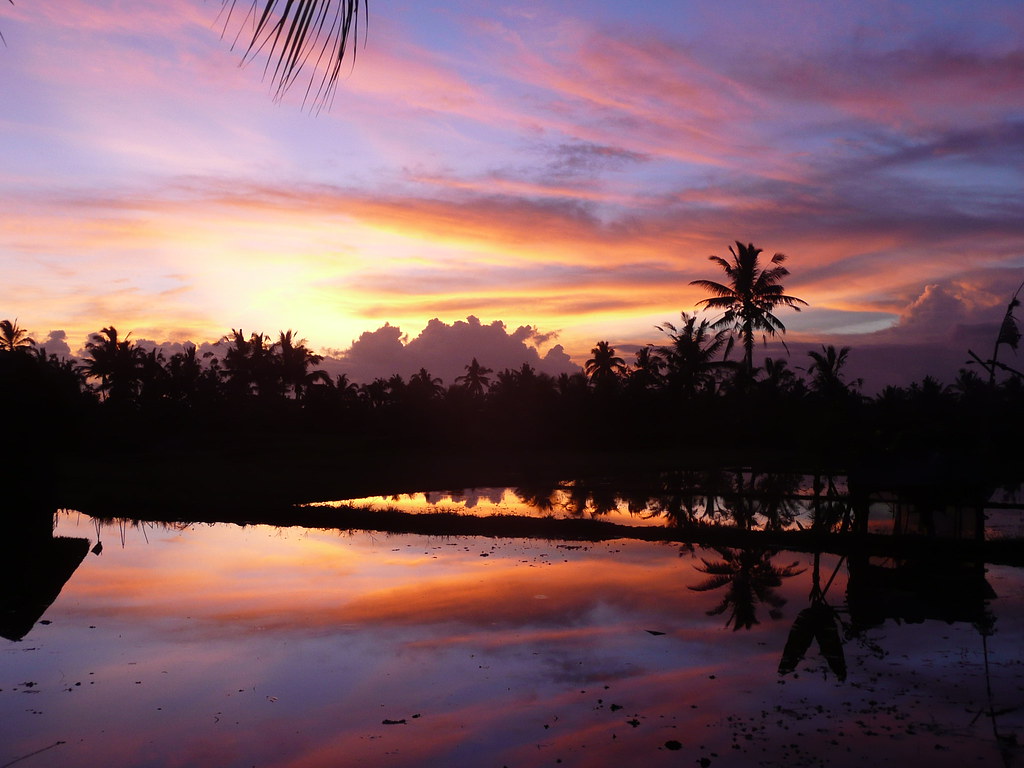 Ubud — photo 17