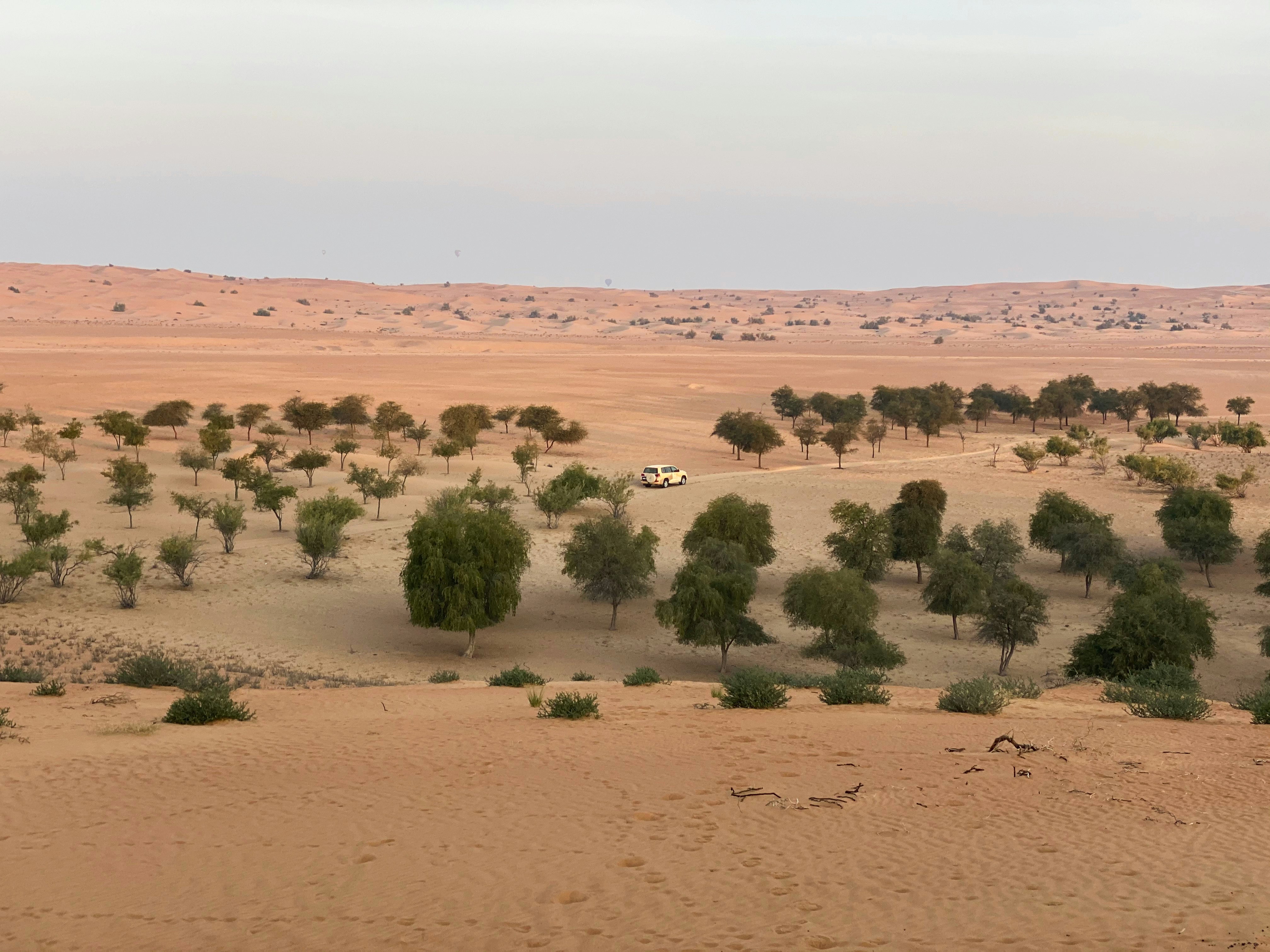 Niger — image 2