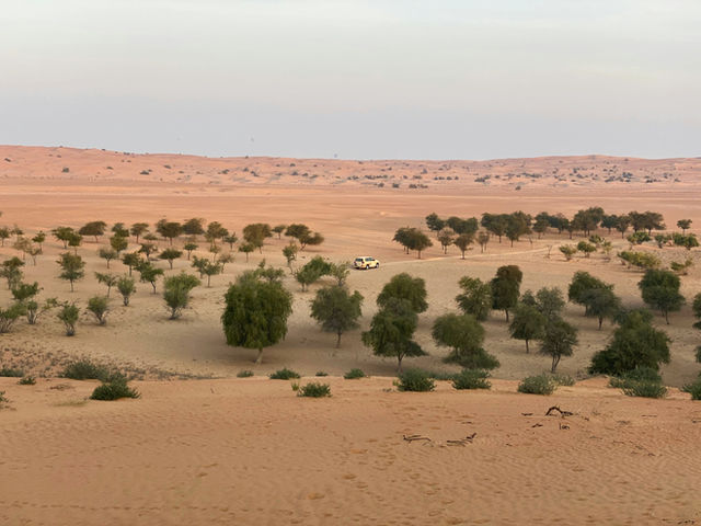Beautiful morning in Dubai - United Arab Emirates.