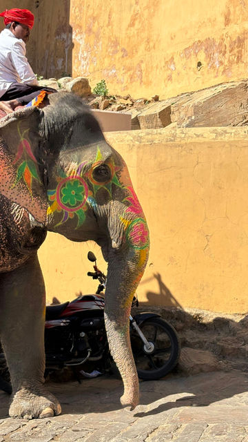 An elephant in face paint beside the traffic
