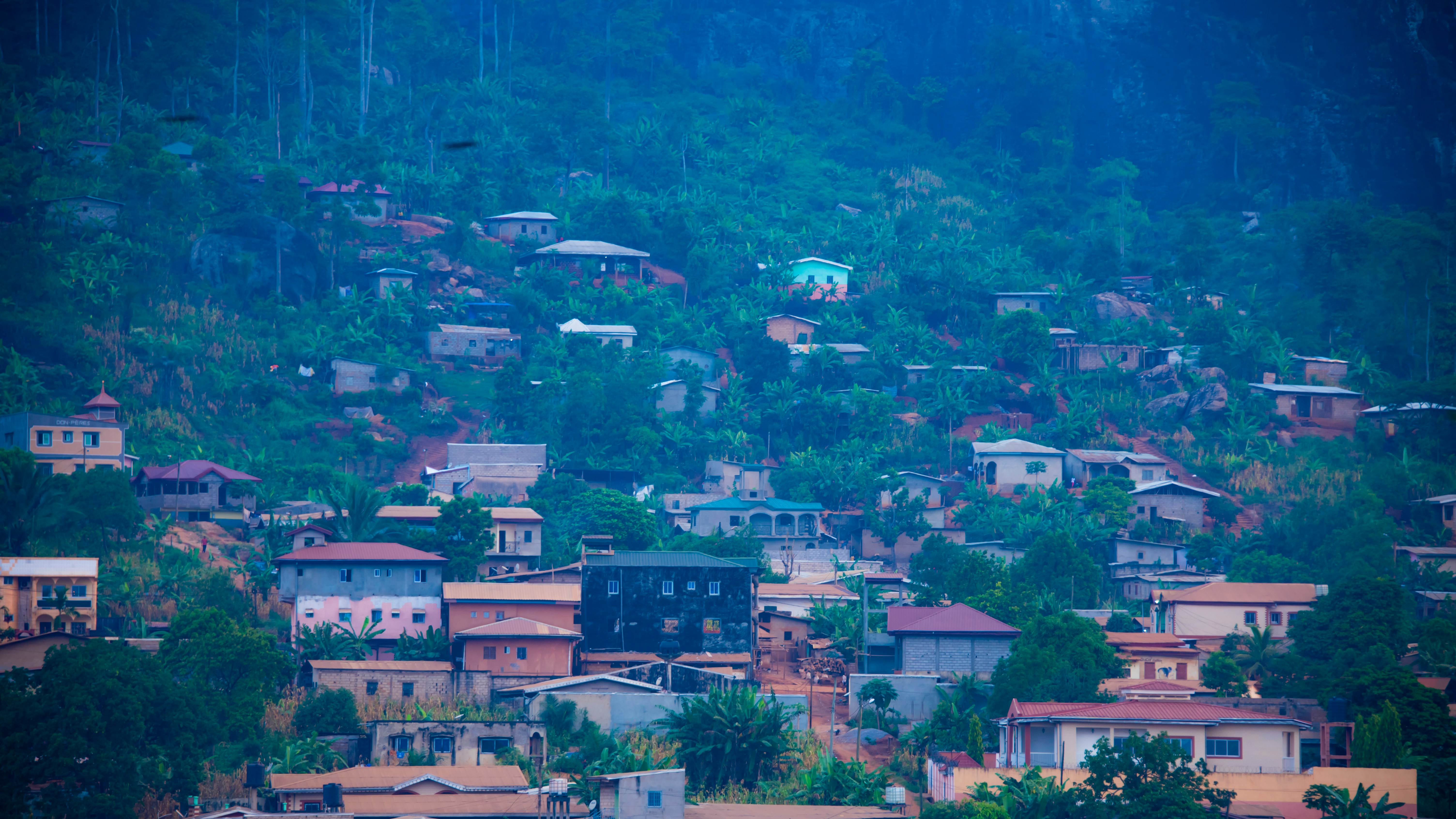 Cameroon — image 5