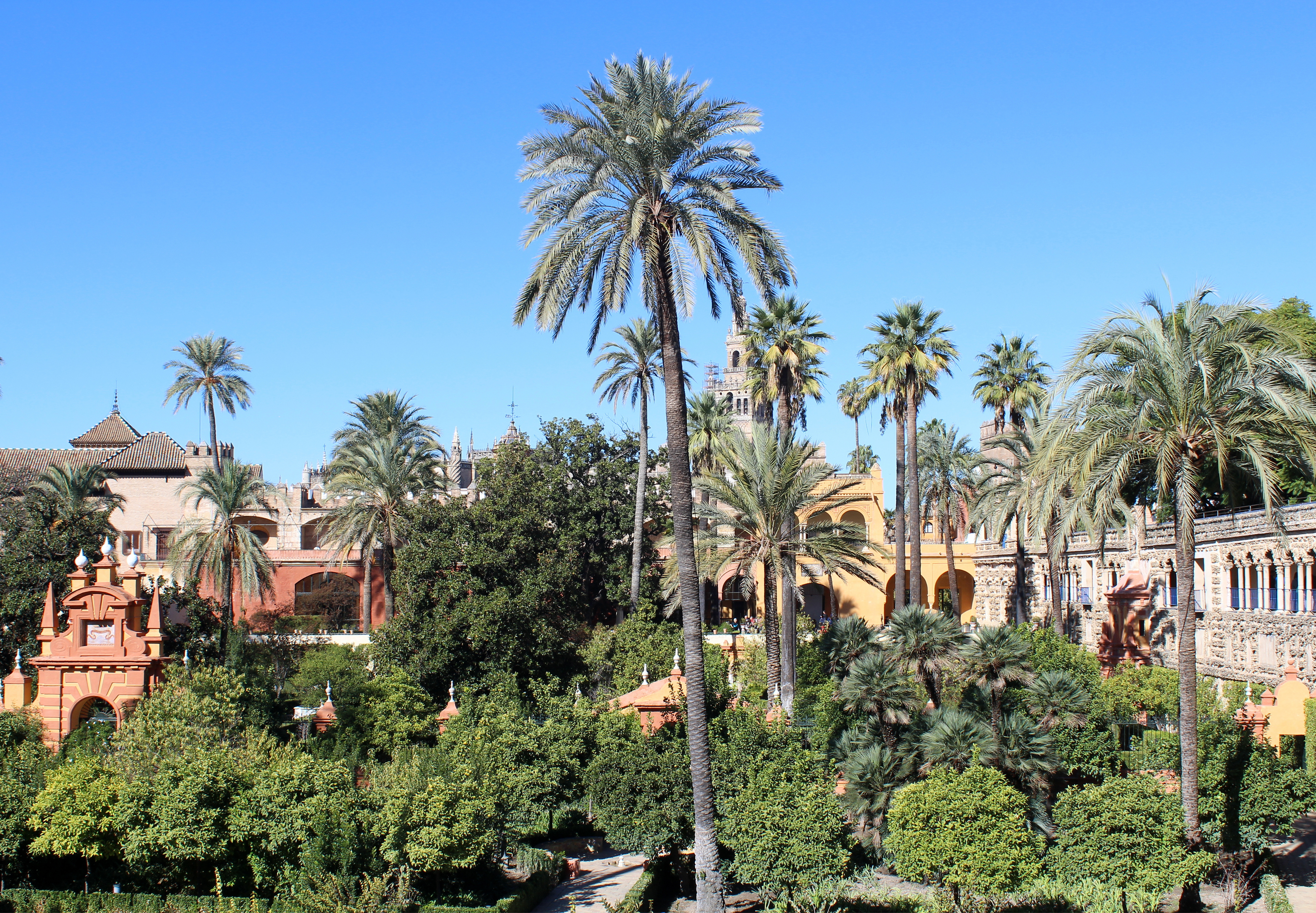 Gardens of the Real Alcázar, Seville (concert venue)