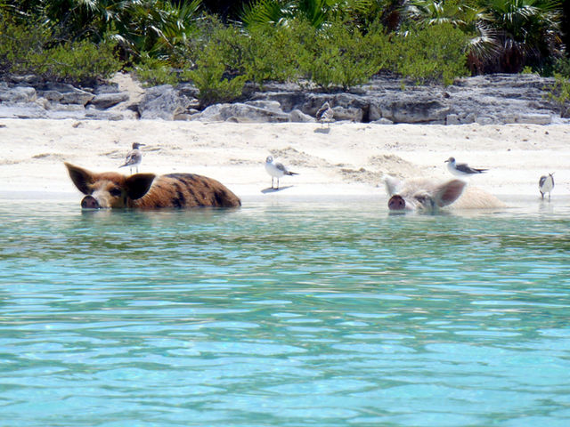 The Exumas, The Bahamas