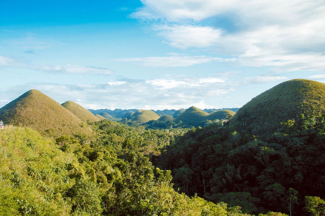 Experience the unique landscape of the Chocolate Hills under a bright blue sky in Bohol, Philippines.