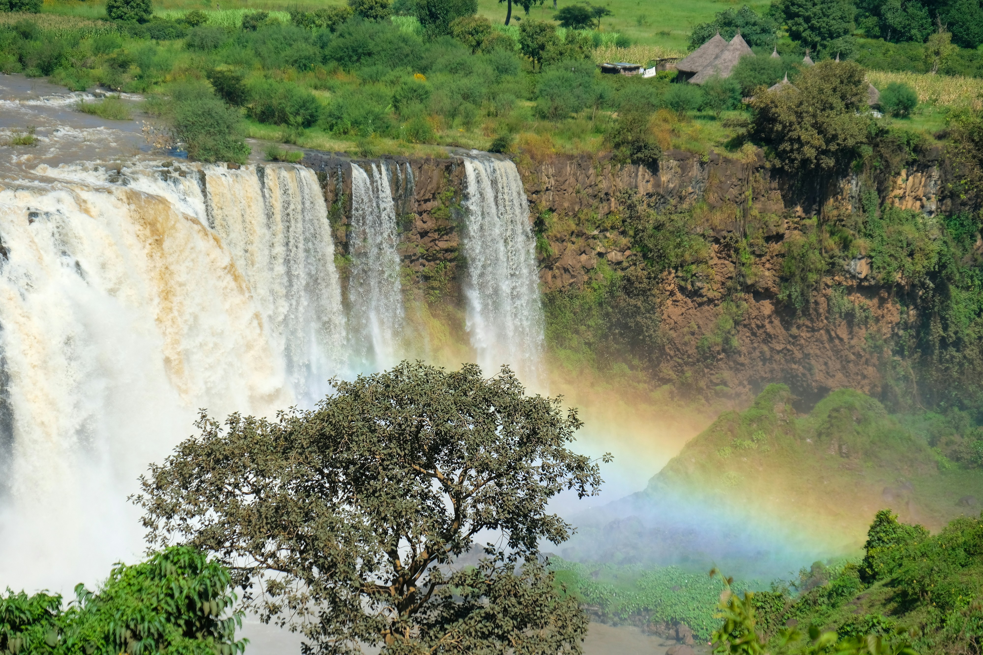 Ethiopia — image 4